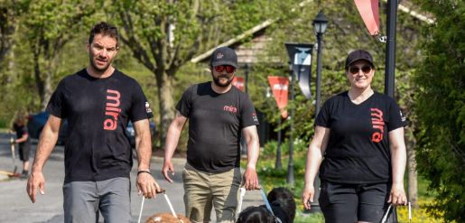 Couverture article Fierté d'ici