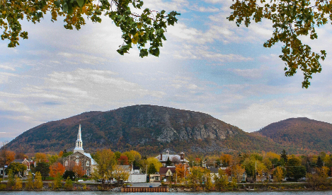 Image mosaïque - Choisir Local c'est gagnant